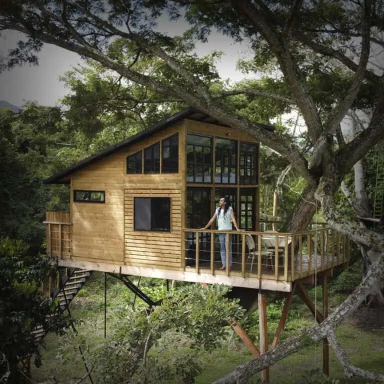 Casa del Árbol Útica- Sophia