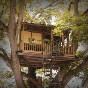 Casa del Árbol- Lunna