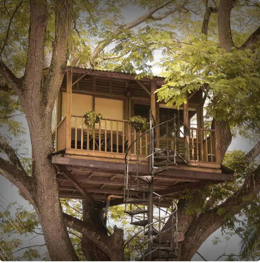 Casa del Árbol- Lunna